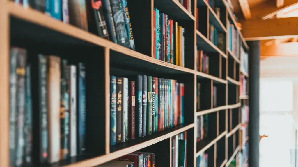 Rayonnages de livres dans une librairie indépendante à Saint-Malo, illustrant les meilleures adresses pour découvrir des ouvrages locaux et littérature variée.